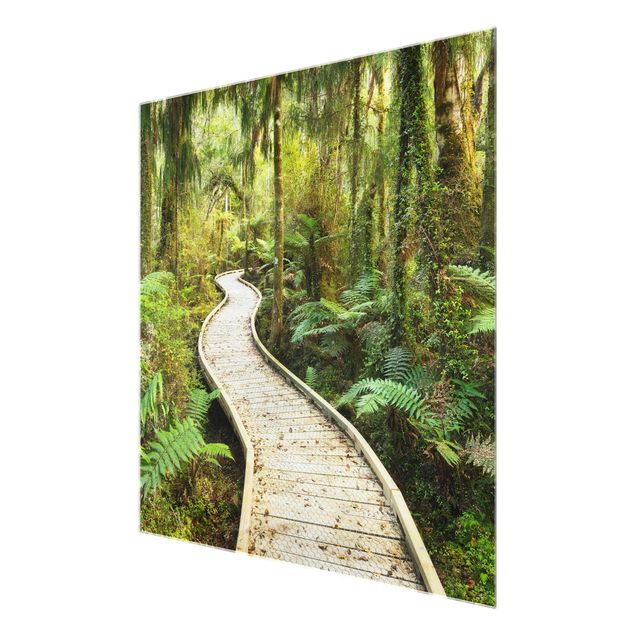 Glasschilderijen Path In The Jungle