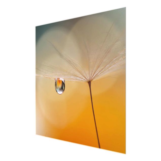 Glasschilderijen Dandelion In Orange