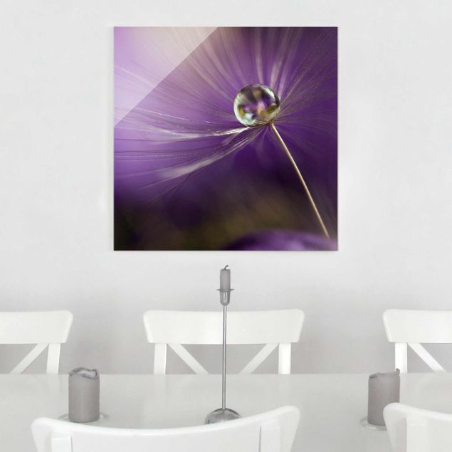 Glasschilderijen Dandelion In Violet