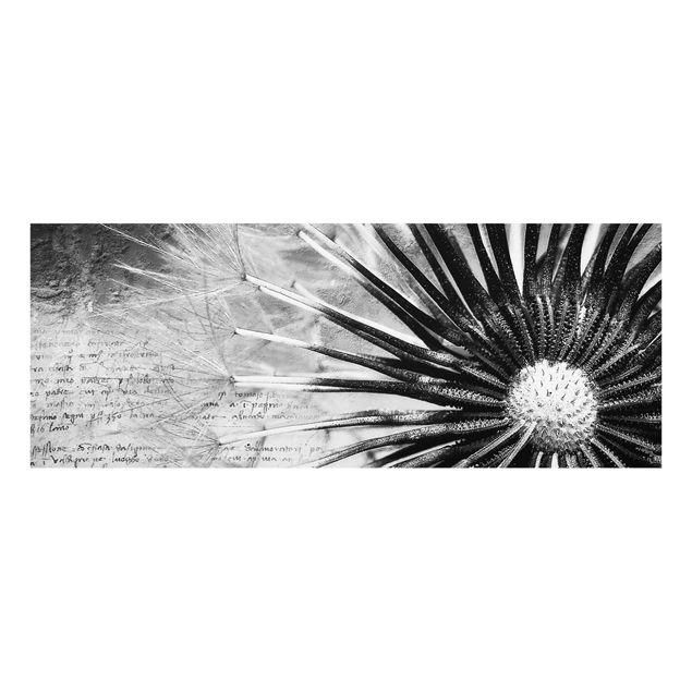 Glasschilderijen Dandelion Black & White
