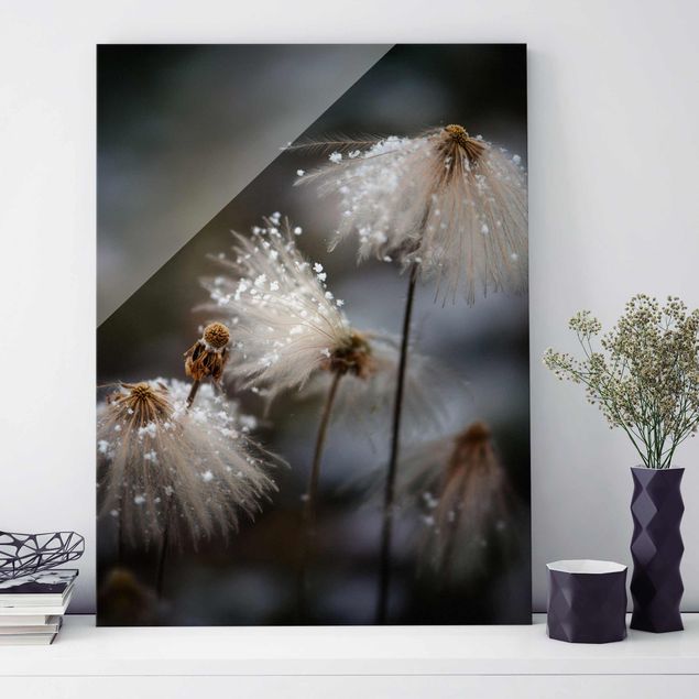 Glas Magnettafel Dandelions With Snowflakes