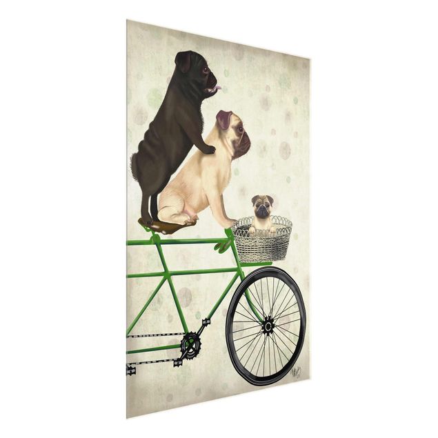 Glasschilderijen Cycling - Pugs On Bike