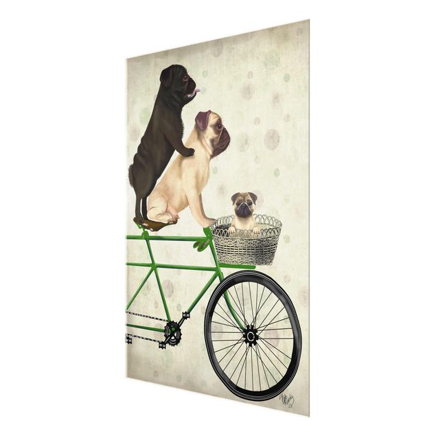 Glasschilderijen Cycling - Pugs On Bike