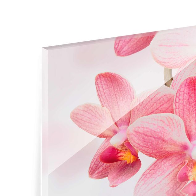 Glasschilderijen Light Pink Orchid On Water