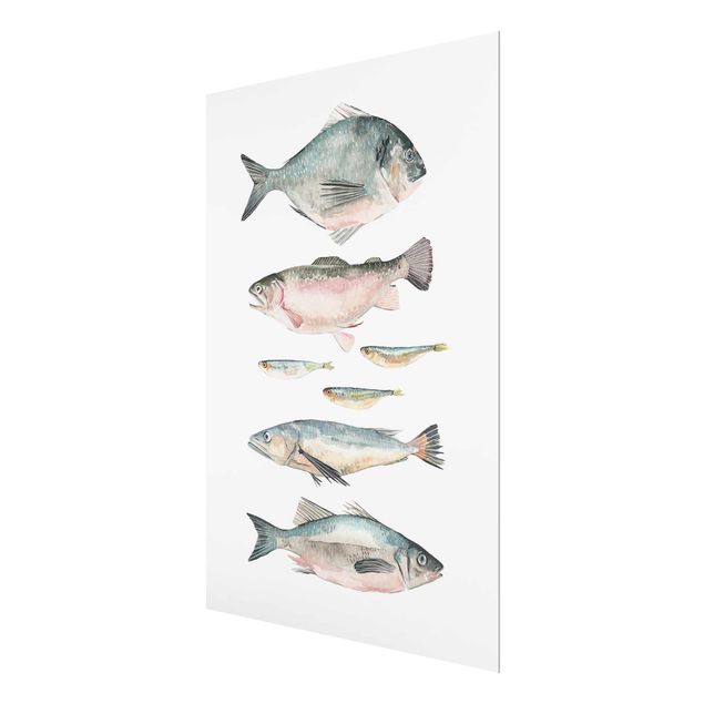 Glasschilderijen Seven Fish In Watercolour II