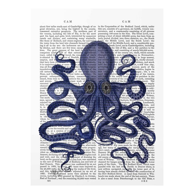 Glasschilderijen Animal Reading - Octopus