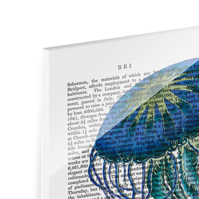 Glasschilderijen Animal Reading - Jellyfish