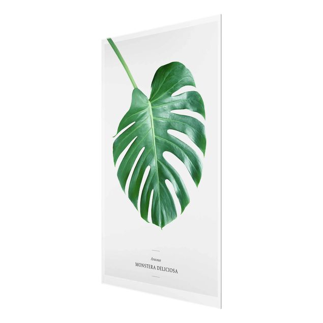 Glasschilderijen Tropical Leaf Monstera