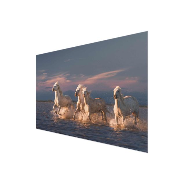 Glasschilderijen Wild Horses In Kamargue