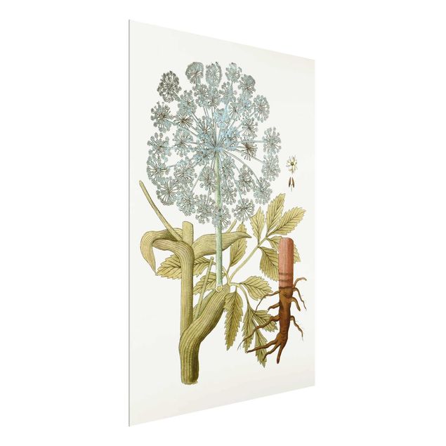Glasschilderijen Wild Herbs Board III