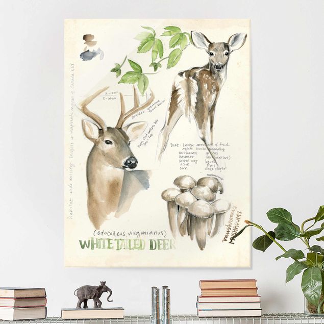 Magnettafel Glas Wilderness Journal - Deer