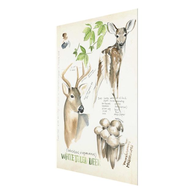 Glasschilderijen Wilderness Journal - Deer