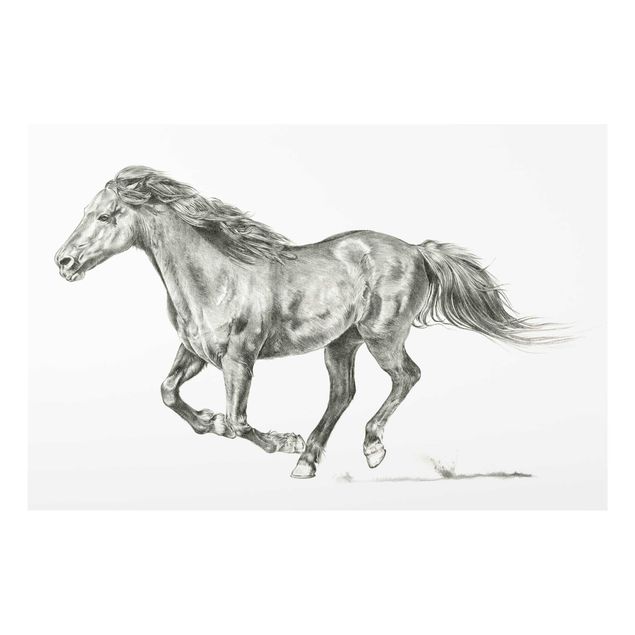 Glasschilderijen Wild Horse Trial - Mare