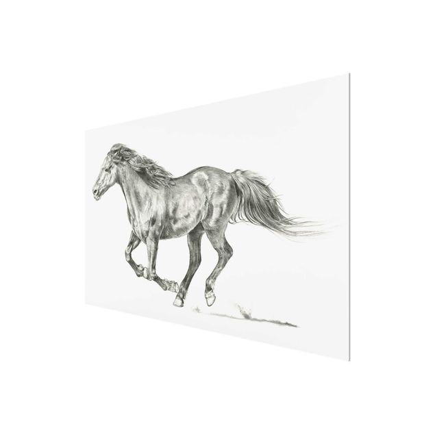 Glasschilderijen Wild Horse Trial - Mare