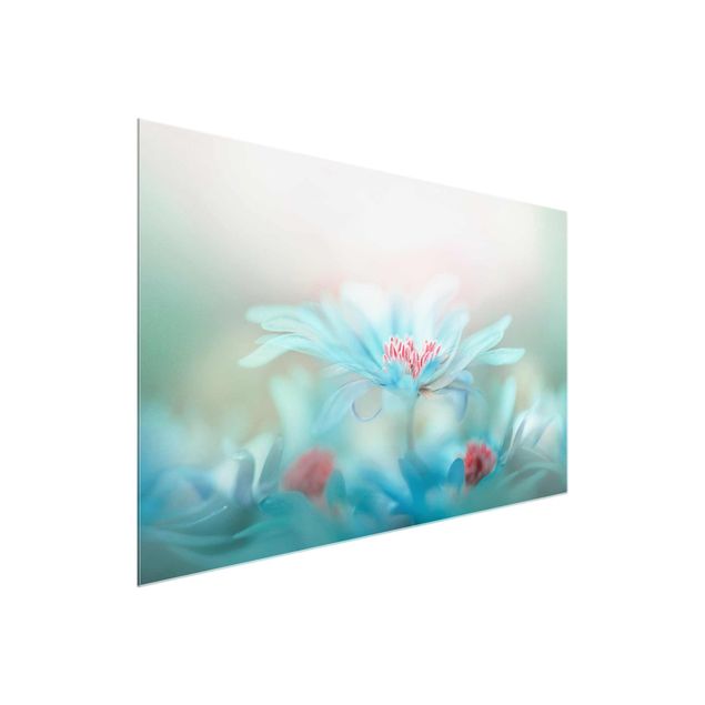 Glasschilderijen Delicate Flowers In Pastel