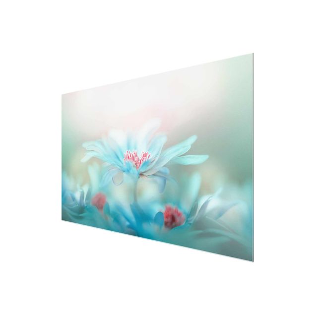 Glasschilderijen Delicate Flowers In Pastel