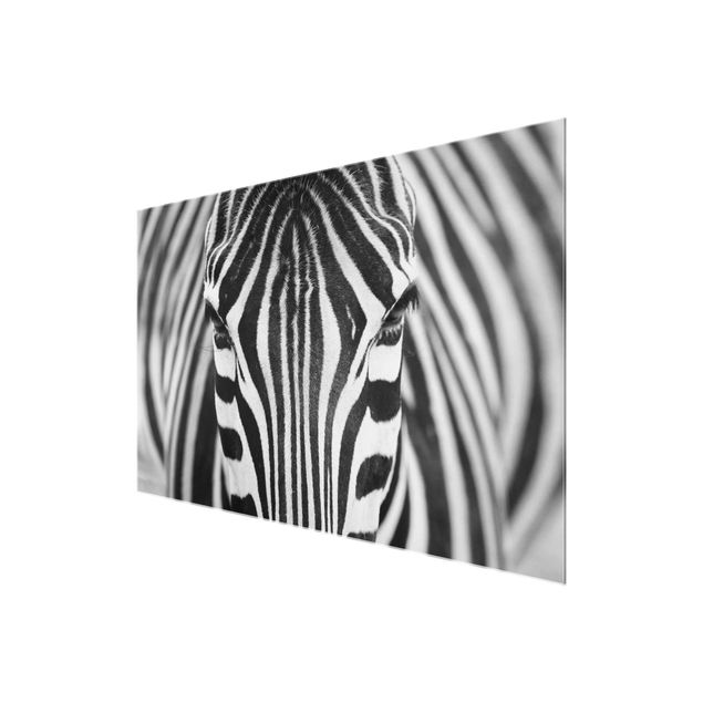 Glasschilderijen Zebra Look
