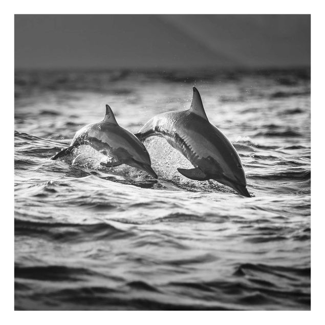 Glasschilderijen Two Jumping Dolphins
