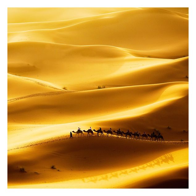 Fotobehang Golden Dunes