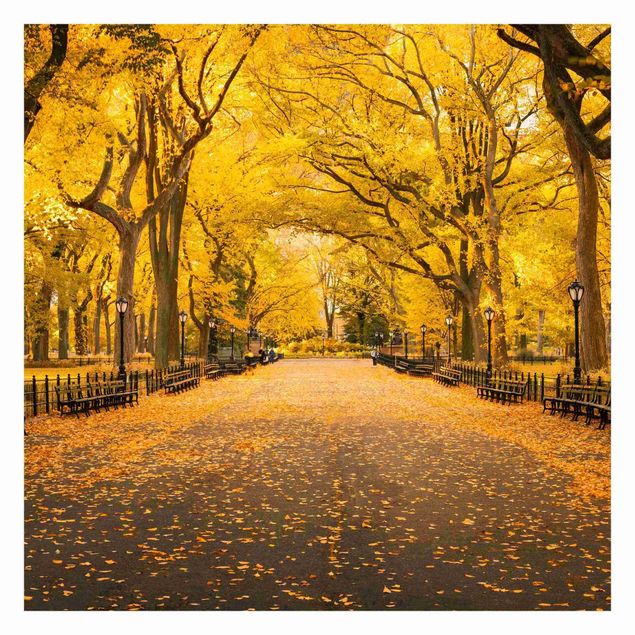 Fotobehang Autumn In Central Park