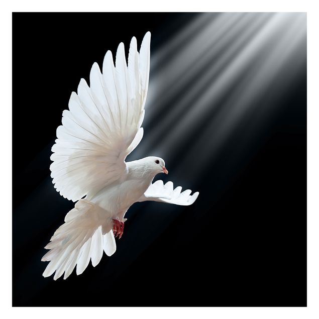 Fotobehang Holy Dove