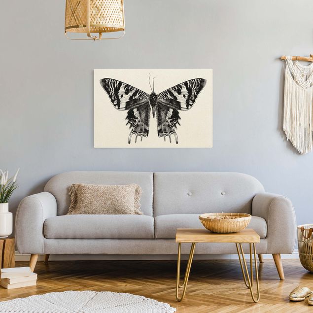 Natuurlijk canvas schilderijen Illustration Flying Madagascan Butterfly