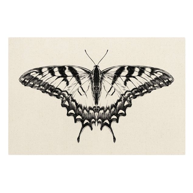 Natuurlijk canvas schilderijen Illustration Flying Tiger Swallowtail Black