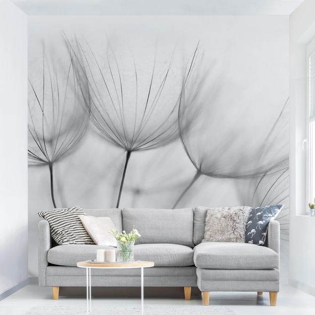 Fotobehang Inside A Dandelion Black And White