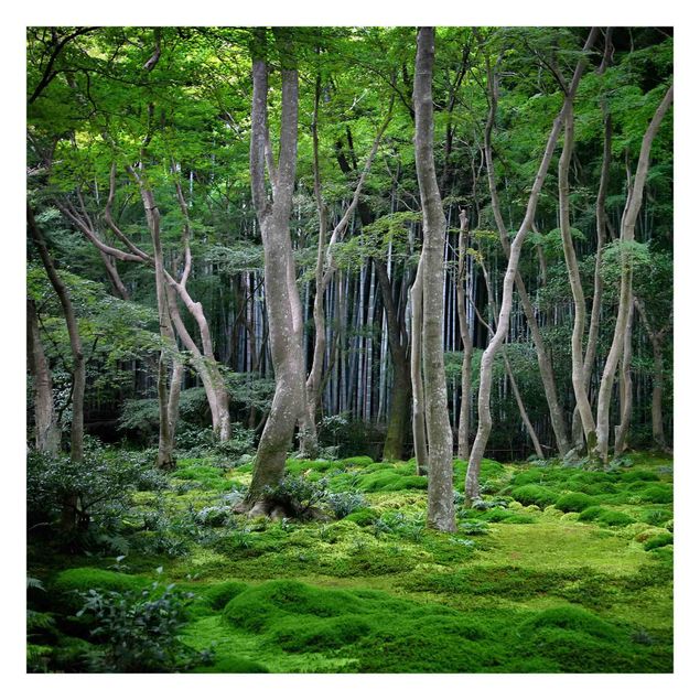 Fotobehang Japanese Forest
