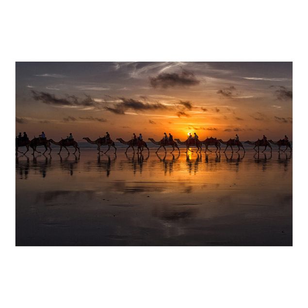 Fotobehang Camel Safari