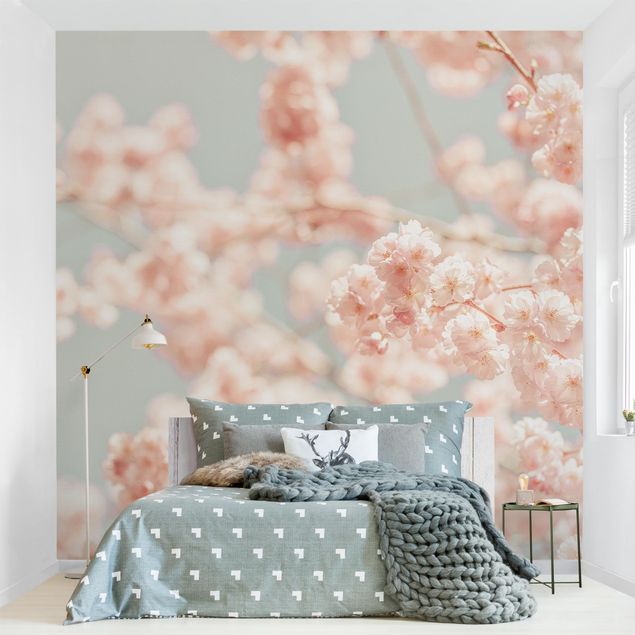 Fotobehang Cherry Blossom Glow