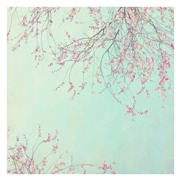 Fotobehang Cherry Blossom Yearning