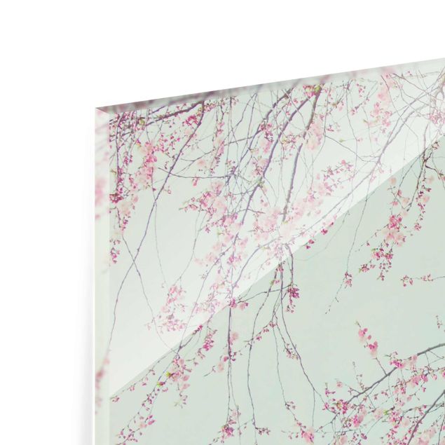 Glasschilderijen Cherry Blossom Yearning