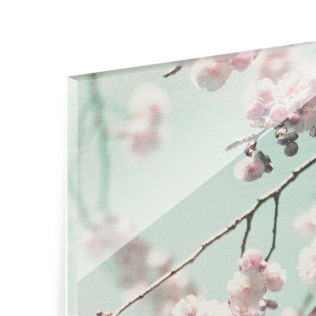 Glasschilderijen Dancing Cherry Blossoms On Canvas
