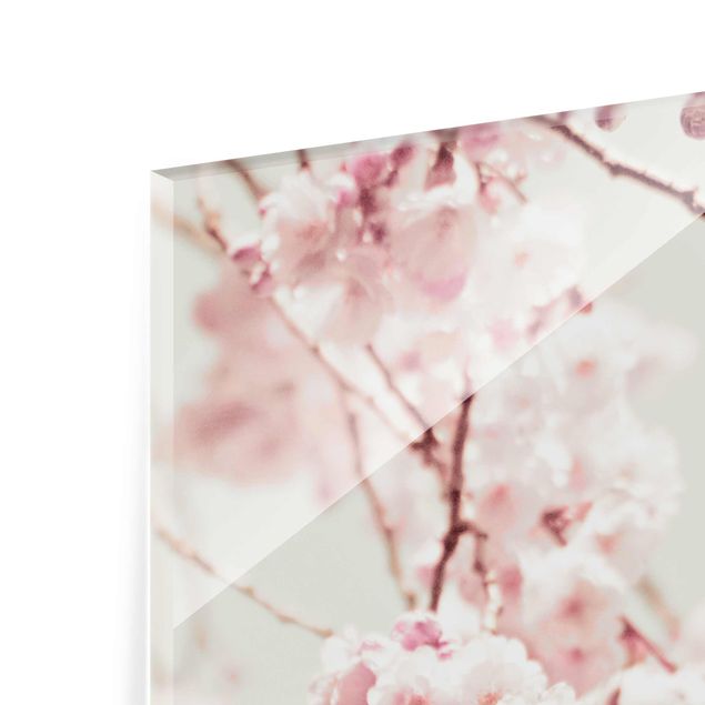 Glasschilderijen Dancing Cherry Blossoms