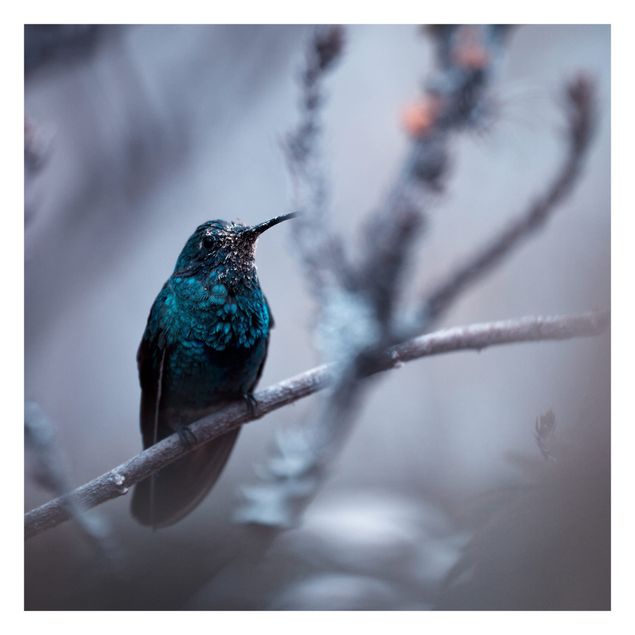 Fotobehang Hummingbird In Winter