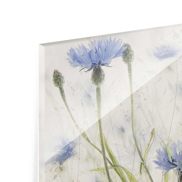 Glasschilderijen Cornflowers And Grasses In A Field