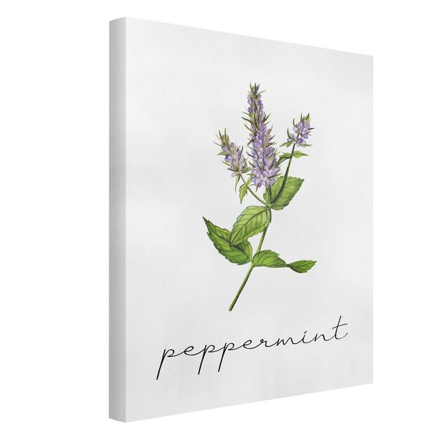 Canvas schilderijen Herbs Illustration Pepper Mint