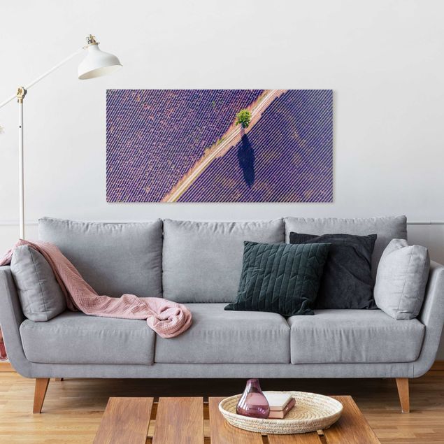 Canvas schilderijen Top View Of Lavender Field