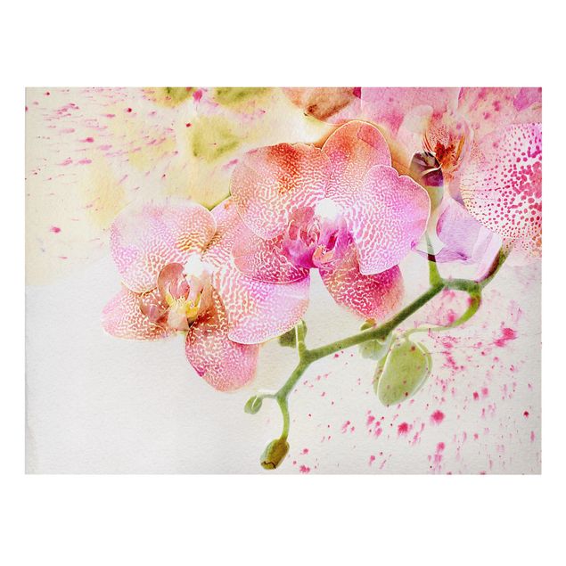 Canvas schilderijen Watercolour Flowers Orchids