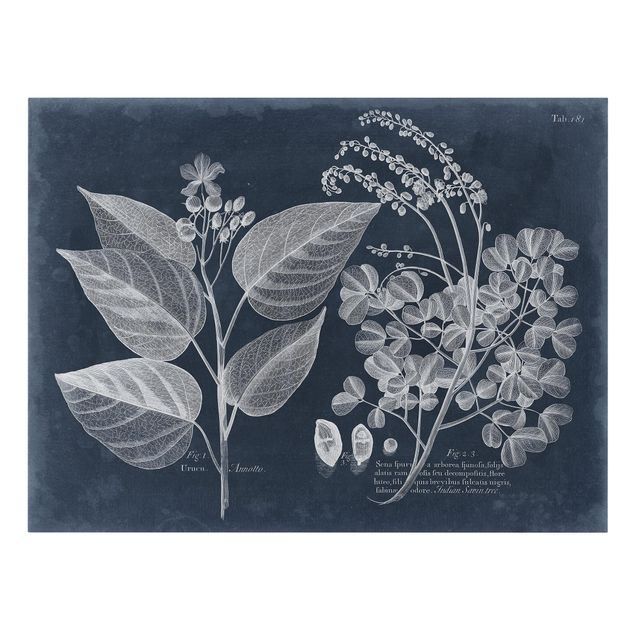 Canvas schilderijen Foliage Dark Blue - Annotto