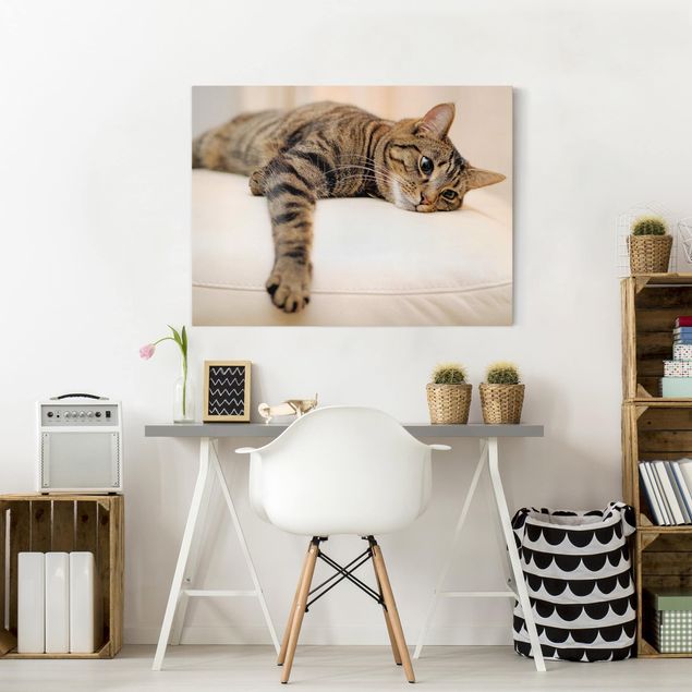 Canvas schilderijen Cat Chill Out