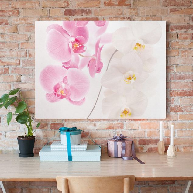 Canvas schilderijen Delicate Orchids