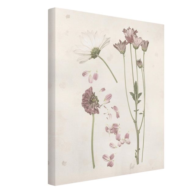 Canvas schilderijen Herbarium In Pink II