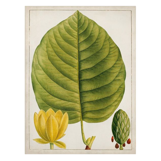Canvas schilderijen Tableau Leaf Flower Fruit I