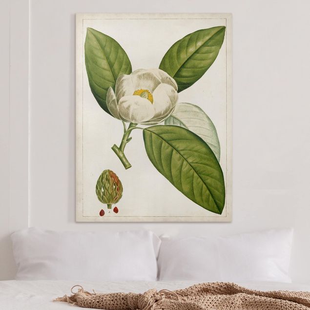 Canvas schilderijen Tableau Leaf Flower Fruit II