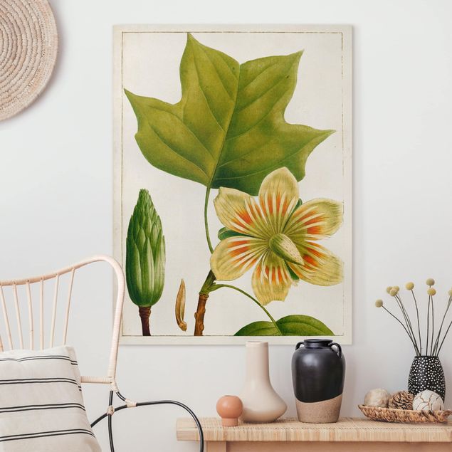 Canvas schilderijen Tableau Leaf Flower Fruit IV