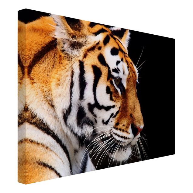 Canvas schilderijen Tiger Beauty