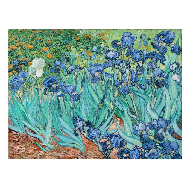 Canvas schilderijen Vincent Van Gogh - Iris