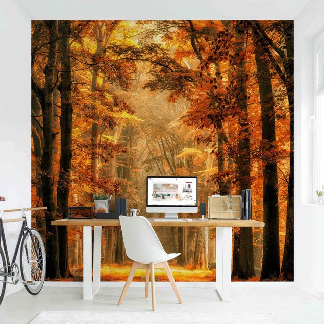 Fotobehang Enchanted Forest In Autumn